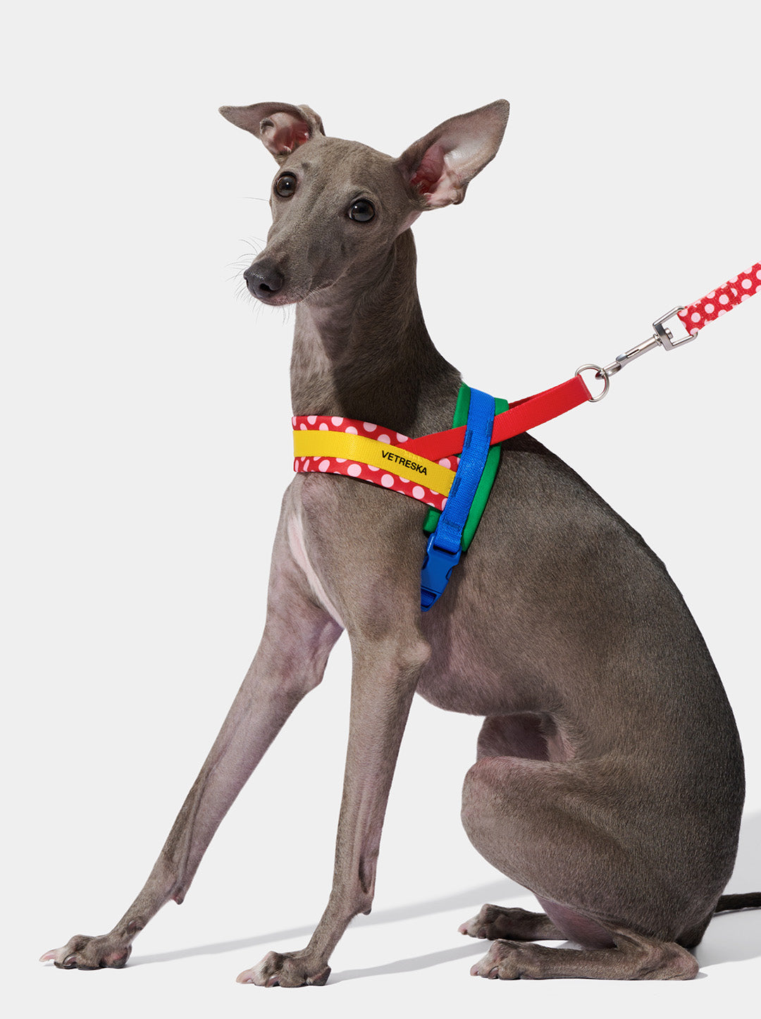 PRISM Pet Walk Kit — Red — in use
