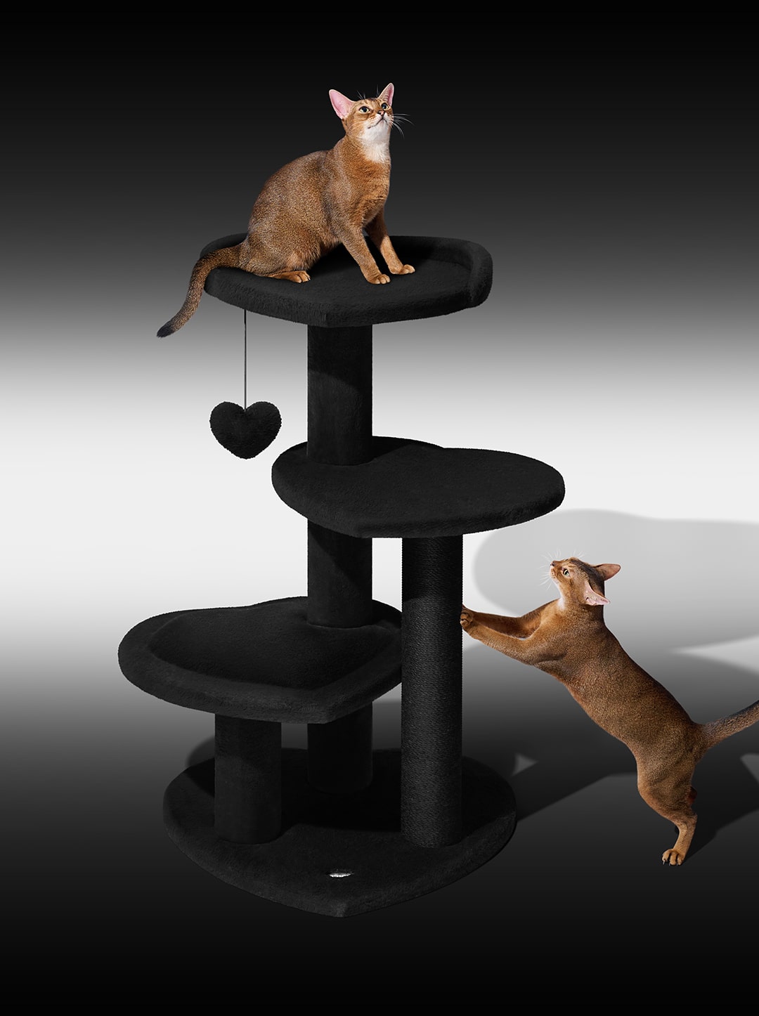 PURR NOIR Cat Climber - Four Platforms — in use