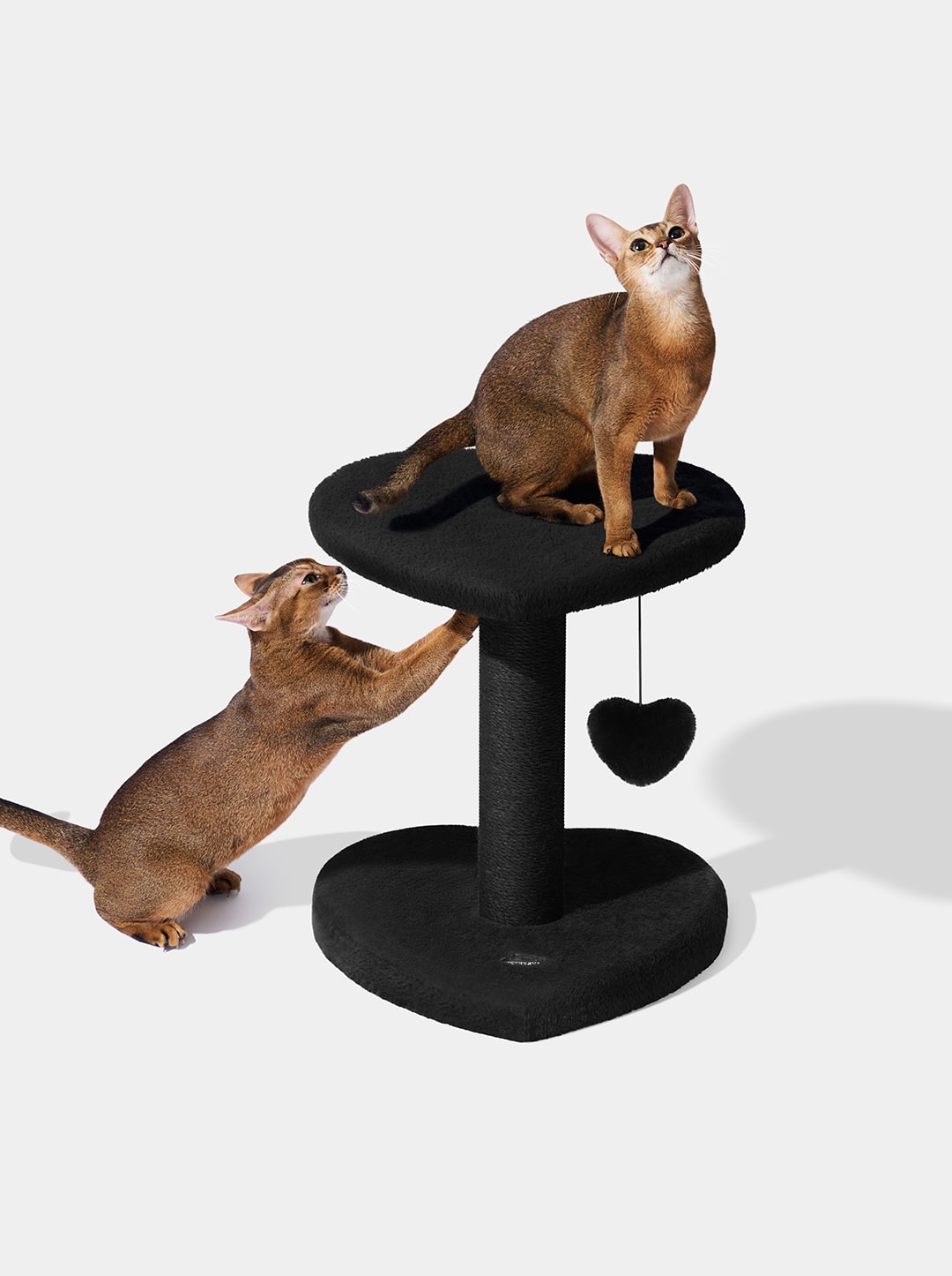 PURR NOIR Cat Climber - Two Platforms — in use