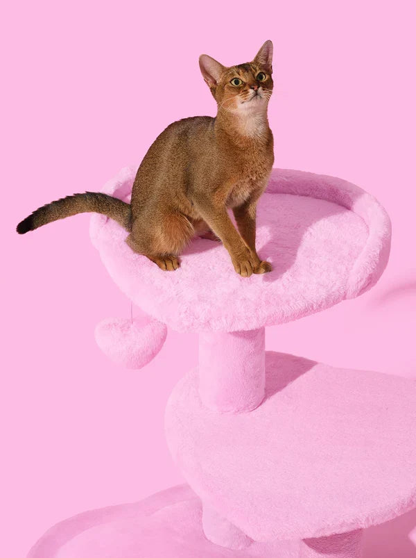 PURR ROSE Cat Climber - Four Platforms — close-up detail