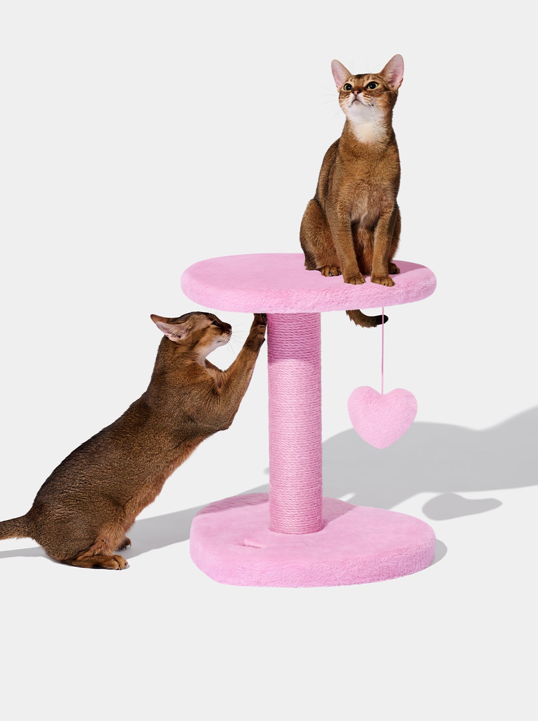 PURR ROSE Cat Climber - Two Platforms — detail shot
