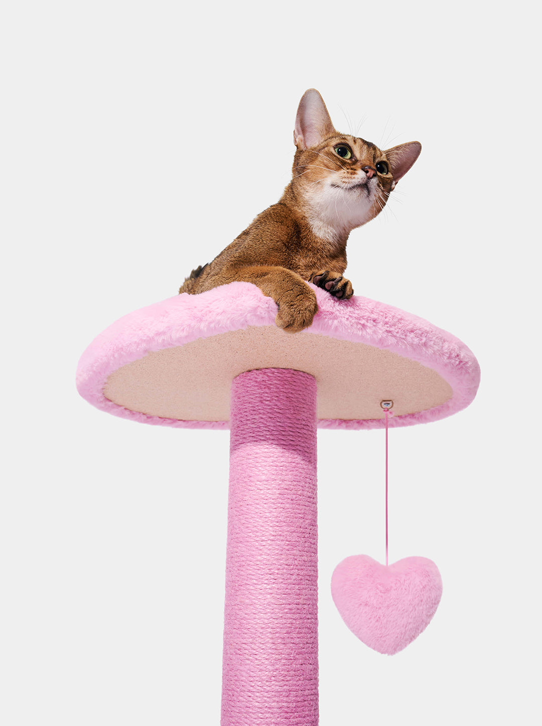 PURR ROSE Cat Climber - Two Platforms — close-up detail