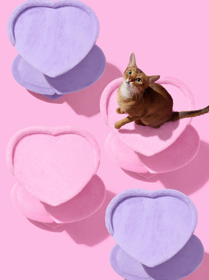 PURR ROSE Cat Climber - Two Platforms — styled in a home setting