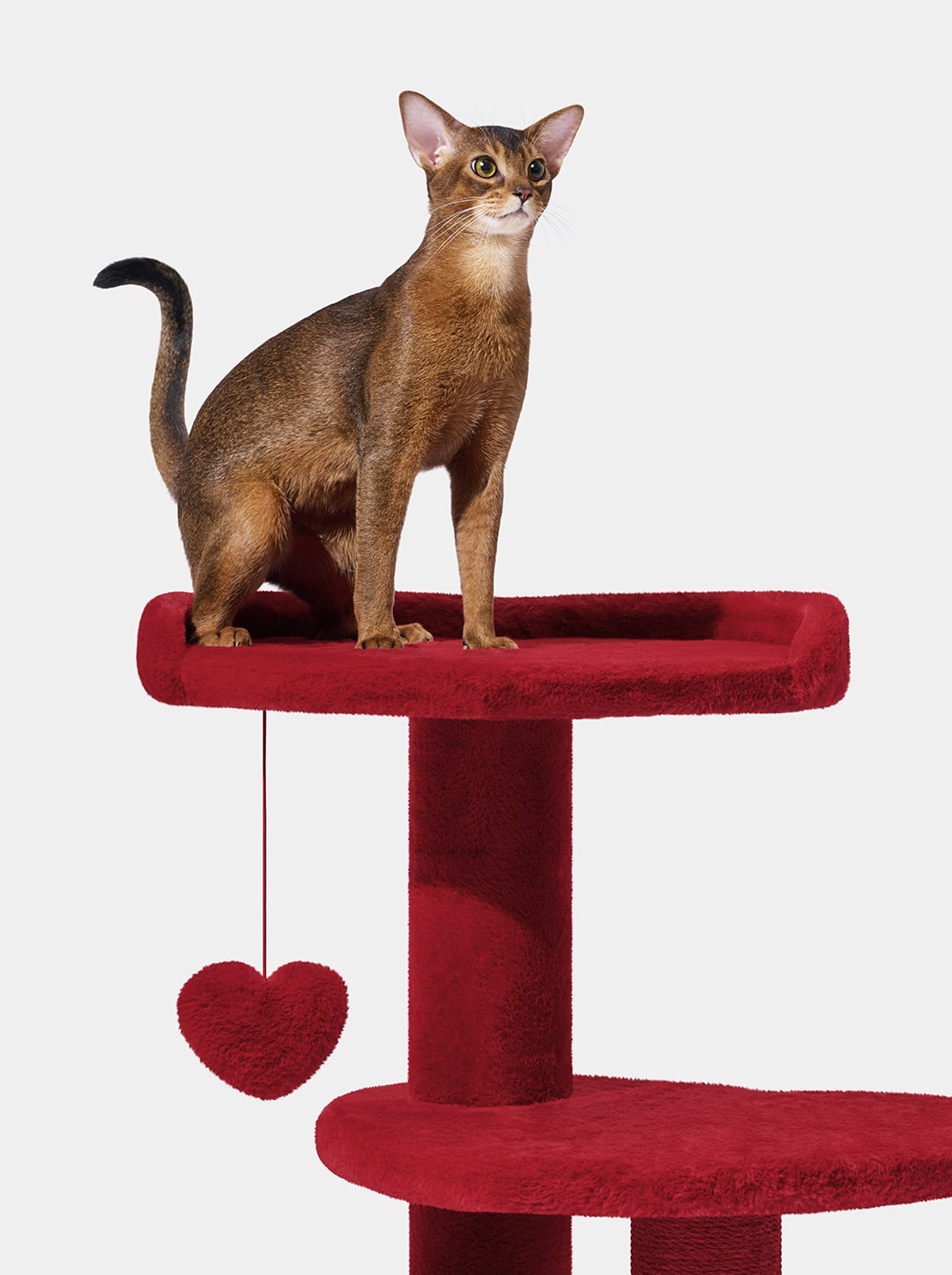 PURR ROUGE Cat Climber - Four Platforms — close-up detail