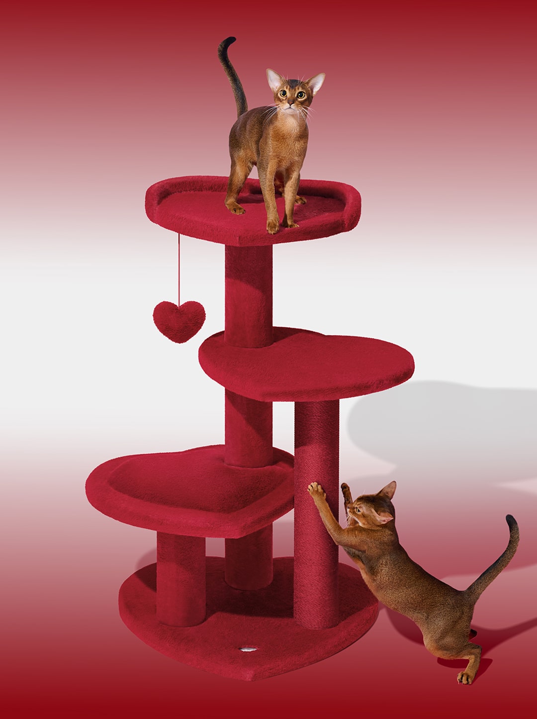 PURR ROUGE Cat Climber - Four Platforms — in use