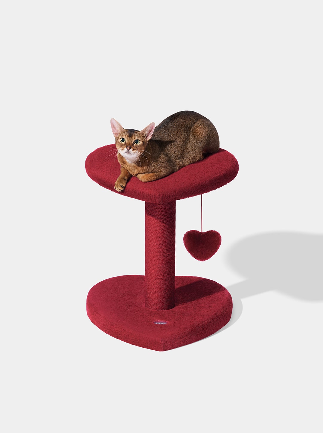 PURR ROUGE Cat Climber - Two Platforms — in use