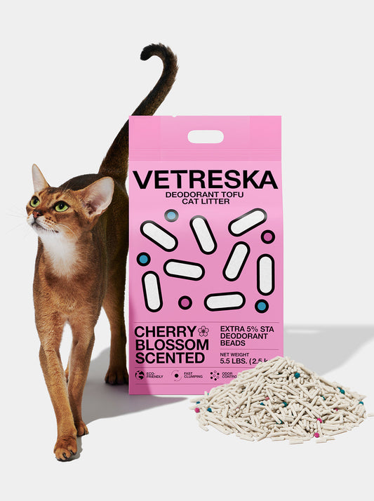 SAKURA Scented Tofu Cat Litter — styled in a home setting