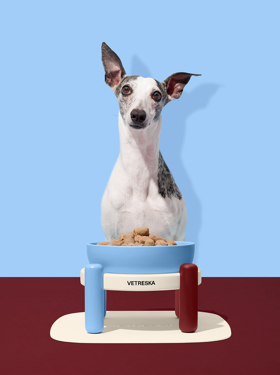 VELVET Pet Bowl & Mat Set (2) — in use