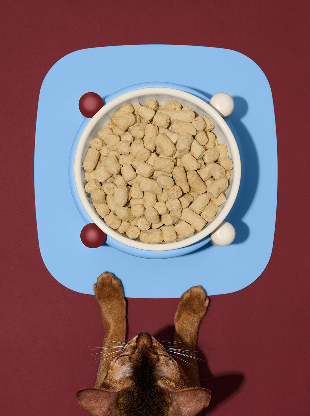 VELVET Pet Bowl & Mat Set — close-up detail