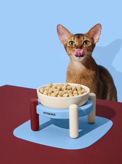 VELVET Pet Bowl & Mat Set — in use