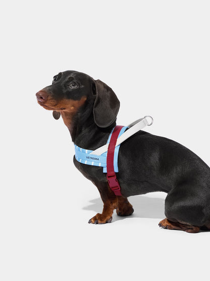 VELVET Pet Harness & Leash Set — in use