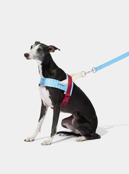 VELVET Pet Harness & Leash Set — main product photo