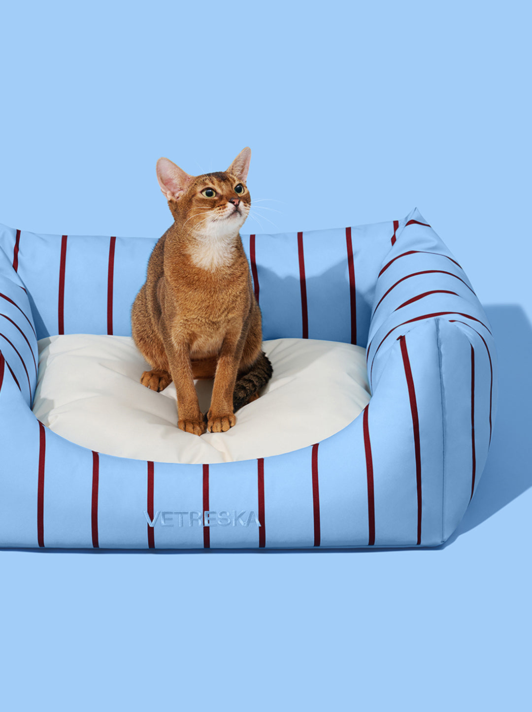 VELVET Pet Sofa - Azure & Stripes (2) — in use