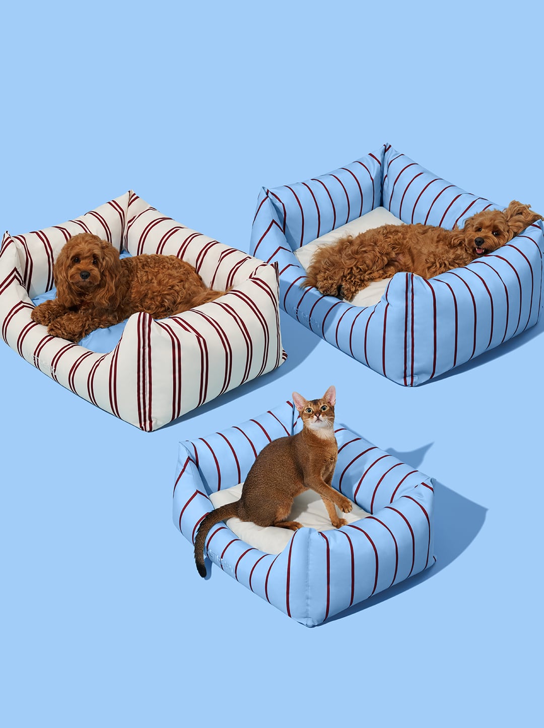 VELVET Pet Sofa - Azure & Stripes — detail shot