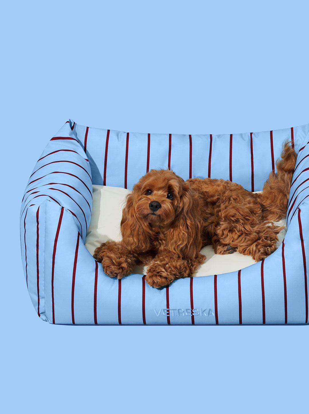 VELVET Pet Sofa - Azure & Stripes — in use