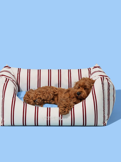 VELVET Pet Sofa - Cream & Stripes — in use