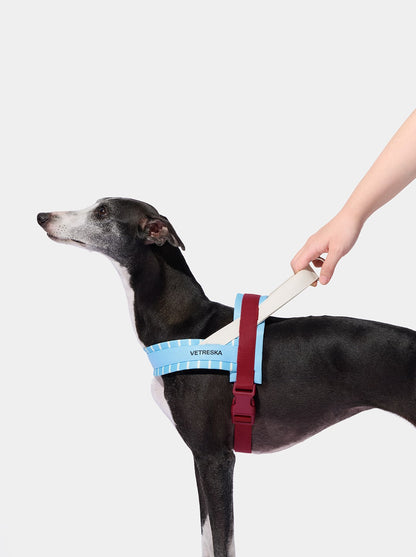 VELVET Pet Walk Kit — in use