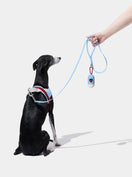 VELVET Pet Walk Kit — main product photo